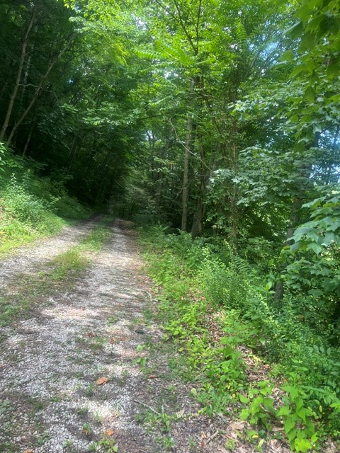 220 Glen Ward Lane #1, McDowell, KY 41647 - #3