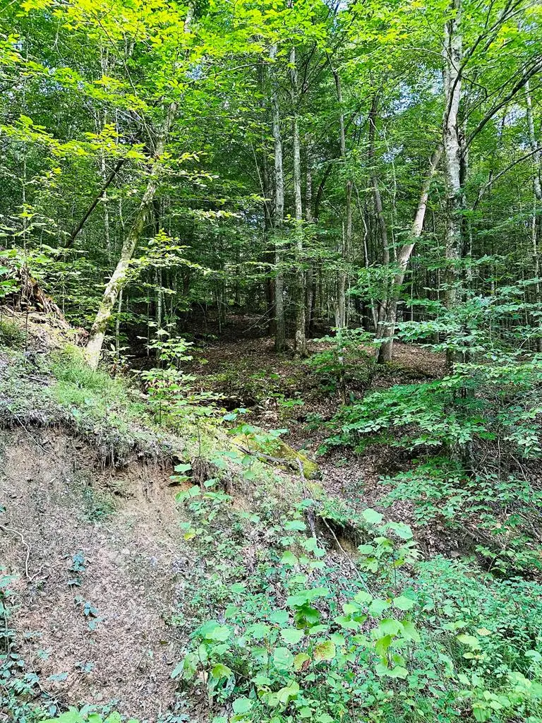00 Jake Wireman Fork Road, Royalton, KY 41632 - #3