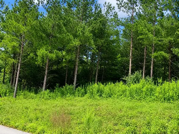 5 Cedar Creek Phase 7, Pikeville, KY 41501