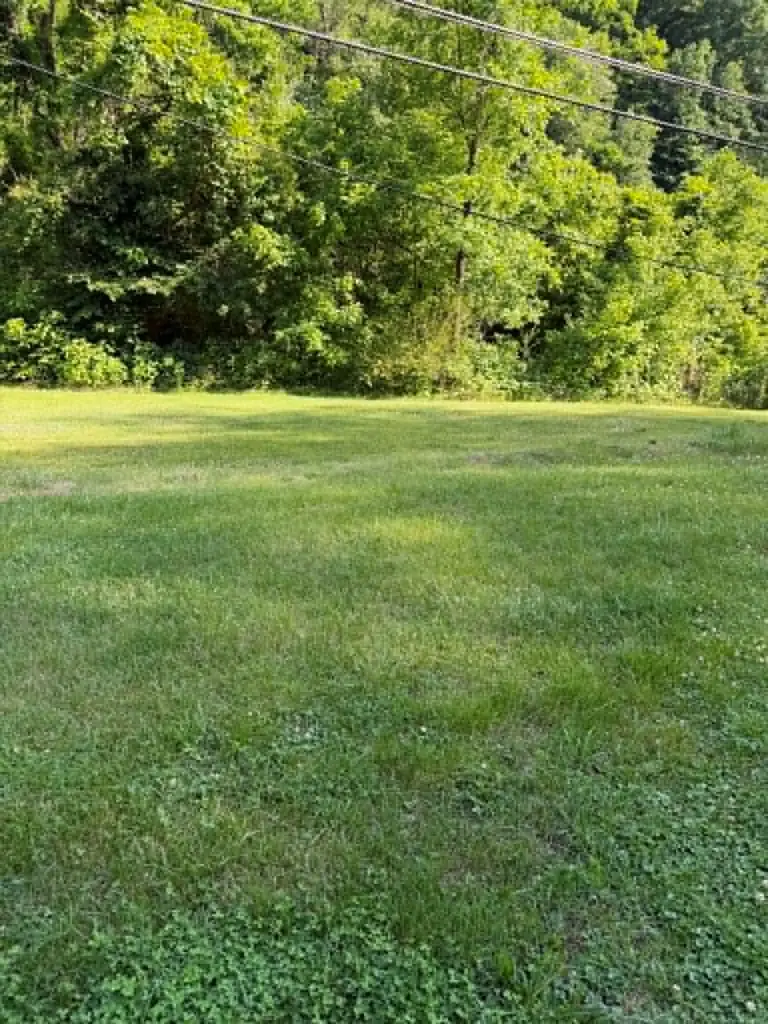 16604 Grapevine Road, Phyllis, KY 41554 - #2