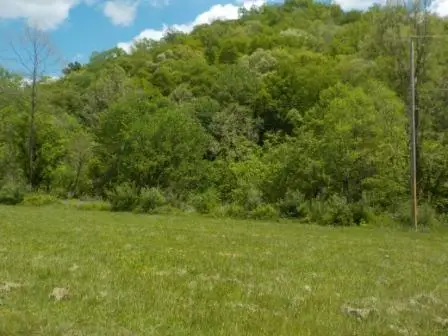 Lot 4 Db 648 Pg. 1417 Ivy Creek, Ivel, KY 41642