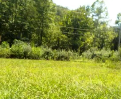Lot13,14 Db 549,664 Pg. 352,102 Ivy Creek, Ivel, KY 41642 - #1