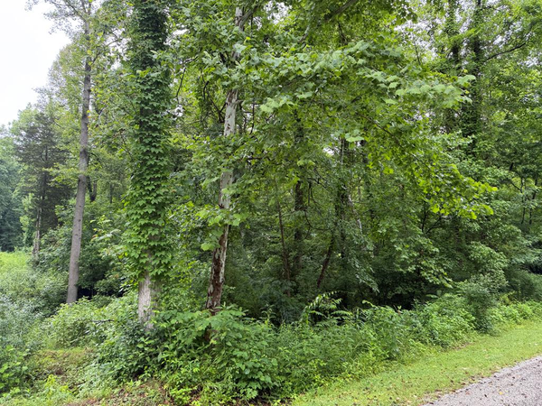 00000 Mockingbird Trail, Catlettsburg, KY 41129