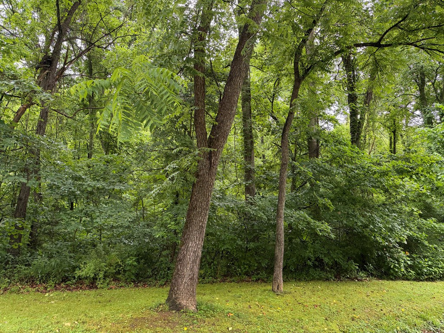 00000 Mockingbird Trail, Catlettsburg, KY 41129 - #2