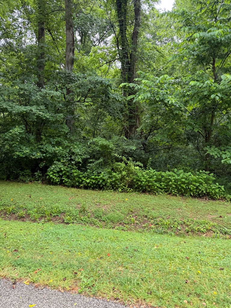 00000 Mockingbird Trail, Catlettsburg, KY 41129 - #3