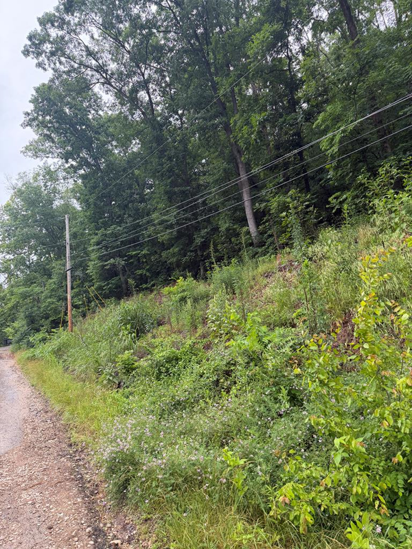 00000 Bob O Link Trail, Catlettsburg, KY 41129