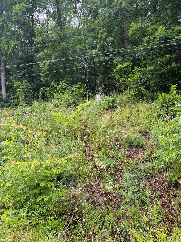 00000 Bob O Link Trail, Catlettsburg, KY 41129 - #2