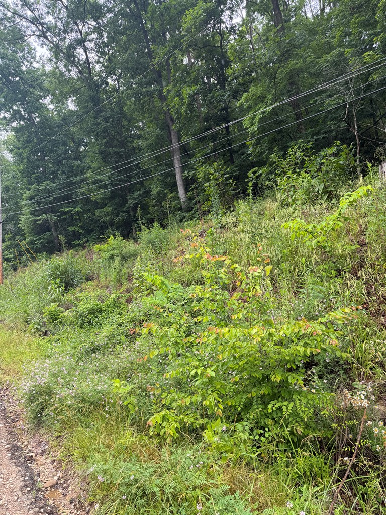 00000 Bob O Link Trail, Catlettsburg, KY 41129 - #3