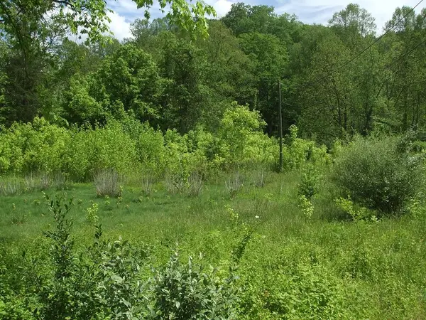 0 Little Elk Hode Road, (d 38 P 137 & D 48 P 341), Warfield, KY 41267