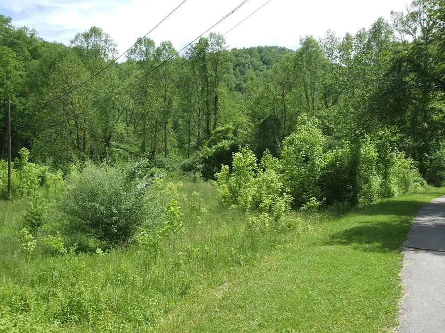 0 Little Elk Hode Road, (d 38 P 137 & D 48 P 341), Warfield, KY 41267 - #2