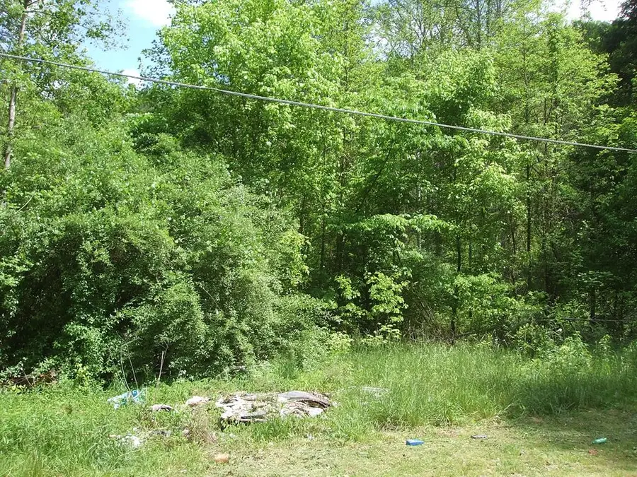 0 Little Elk Hode Road, (d 38 P 137 & D 48 P 341), Warfield, KY 41267 - #3