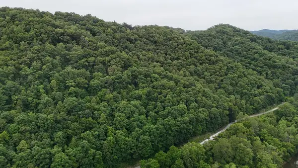 0 Yellow Creek Rd, Louisa, KY 41230