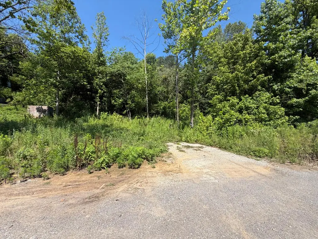135 Railroad St., Dwale, KY 41621 - #1