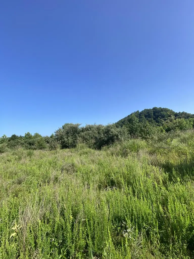 0 Us Highway 119, Pikeville, KY 41501 - #3