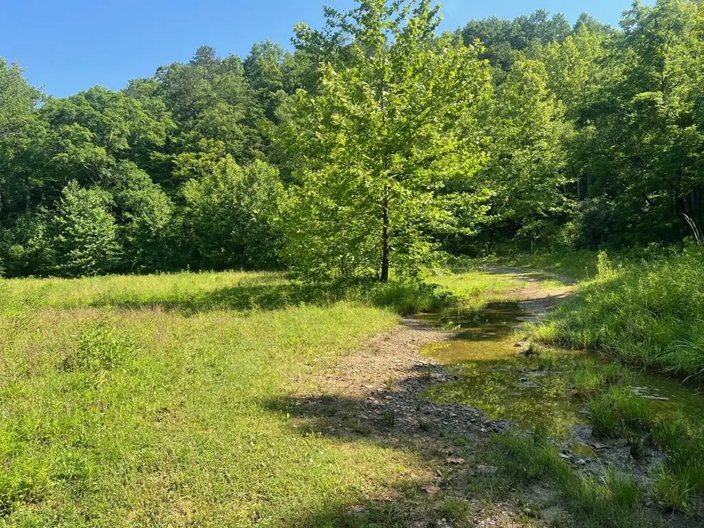 00 Se Licking River Rd., Royalton, KY 41640 - #1