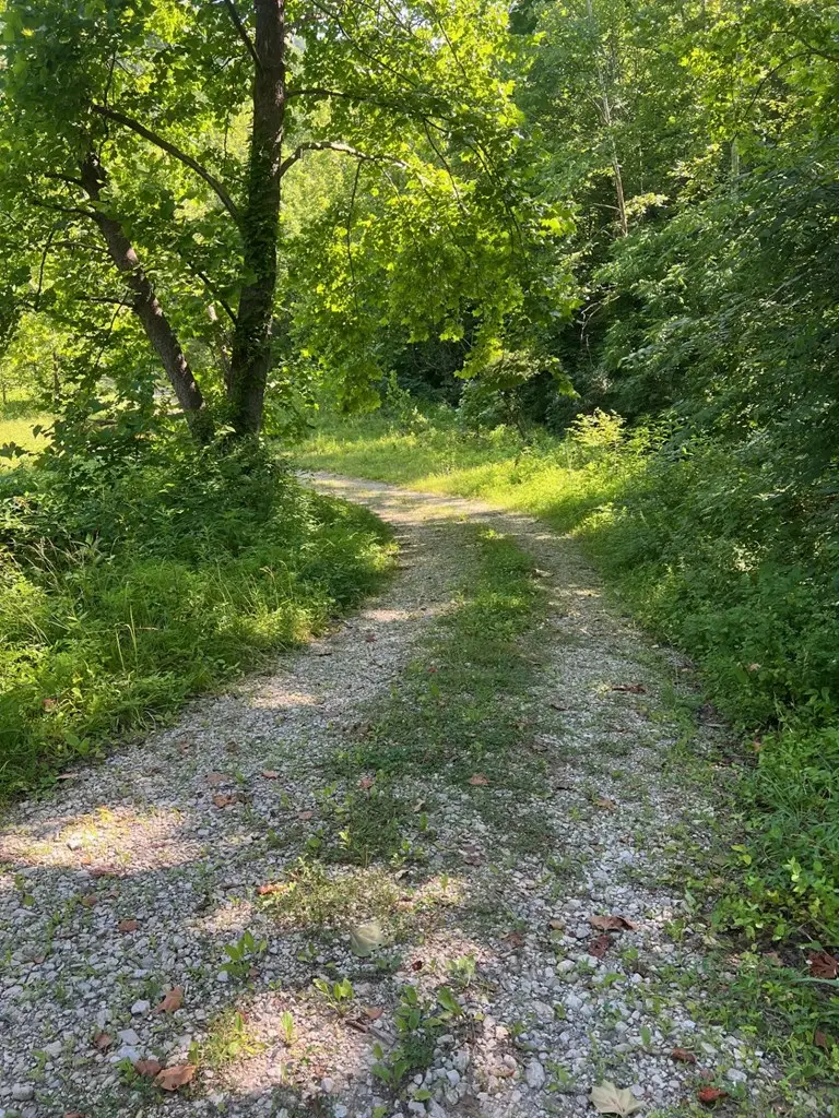 00 Se Licking River Rd., Royalton, KY 41640 - #2