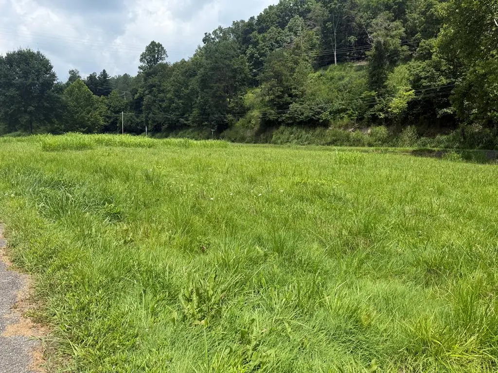 Lot 5 0, Salyersville, KY 41465 - #1