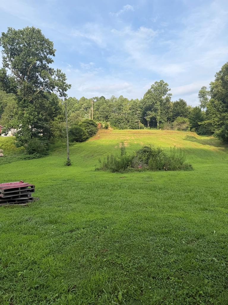 340 Pearl Hill Rd, Delbarton, WV 25670 - #1