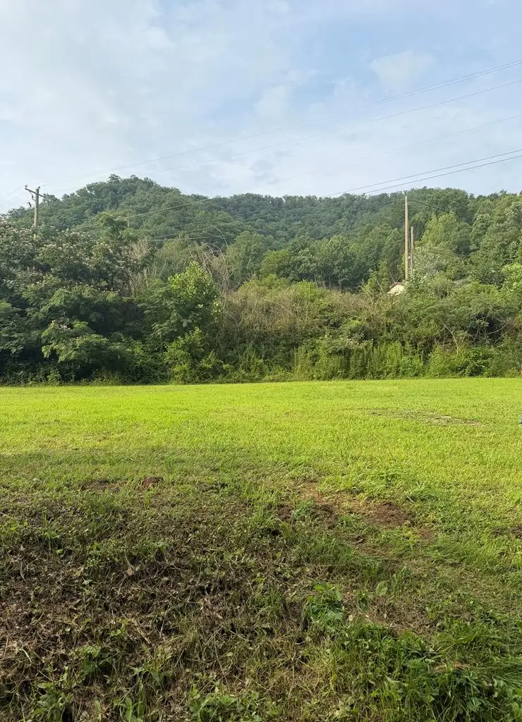 340 Pearl Hill Rd, Delbarton, WV 25670 - #3