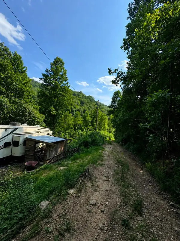 207 Left Fork Luke Varney Hollow, Raccoon, KY 41557
