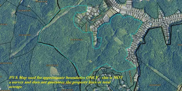 00 Cedar Creek Undeveloped 050-00-00-032.00, Pikeville, KY 41501