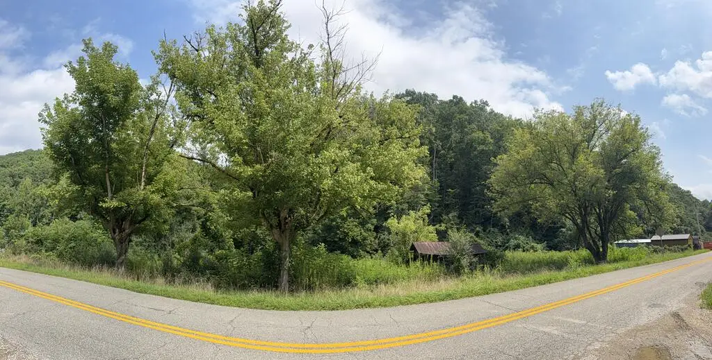7841 Highway 1690, Louisa, KY 41230 - #1
