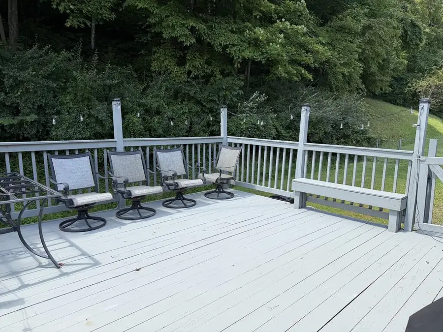 245 Hidden Valley Rd, Paintsville, KY 41240 - #3