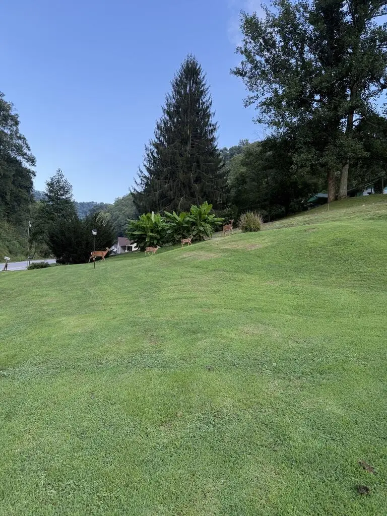 851 Meathouse Fork Rd, Canada, KY 41519 - #3