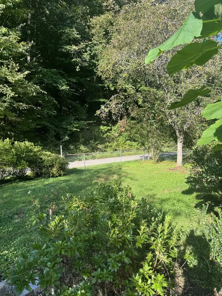 803 Poplar Fork, Beauty, KY 41203 - #2