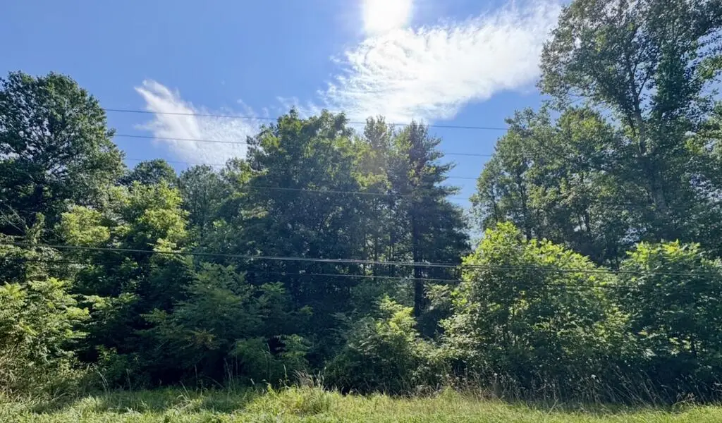 0 Hunter Off Ky 122, Drift, KY 41619 - #1