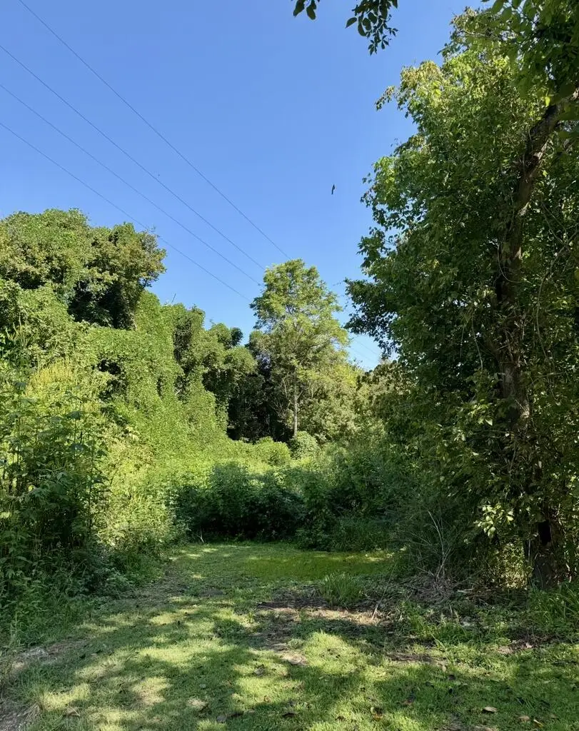0 Drift Hollow Road, Drift, KY 41619 - #1