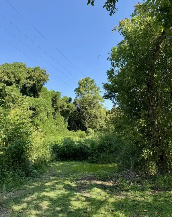 0 Drift Hollow Road, Drift, KY 41619