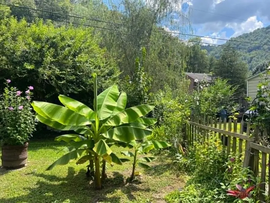 412 Fishtrap Road, Shelbiana, KY 41562 - #2