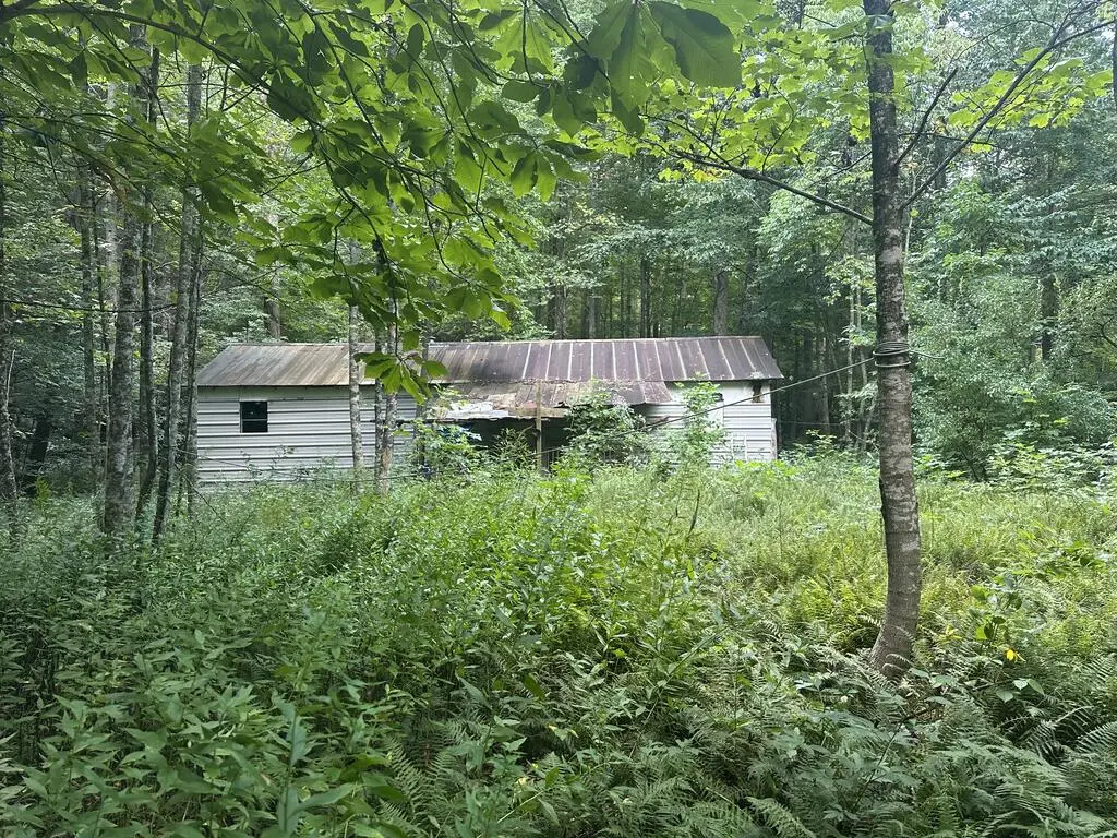0 Slick Rock Rd, Eolia, KY 40826 - #1