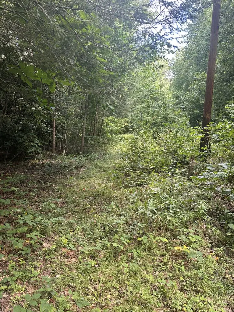 0 Slick Rock Rd, Eolia, KY 40826 - #2