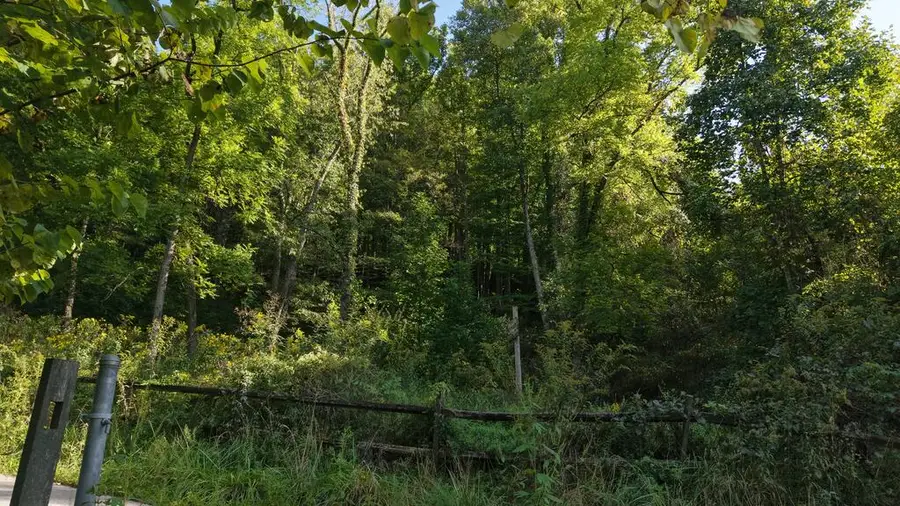 229-230 Number One Hill, Jenkins, KY 41537 - #2