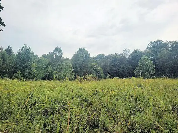 1044 Brushy Ridge Rd, Mckee, KY 40447