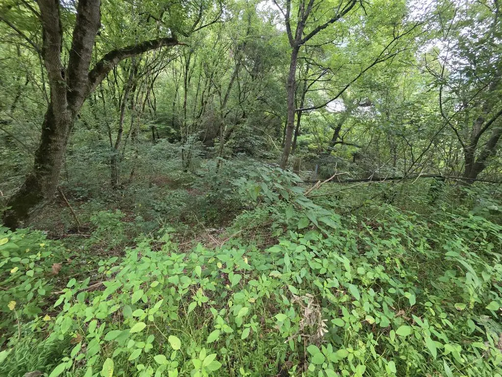 490 Rocky Rd, Pikeville, KY 41501 - #1