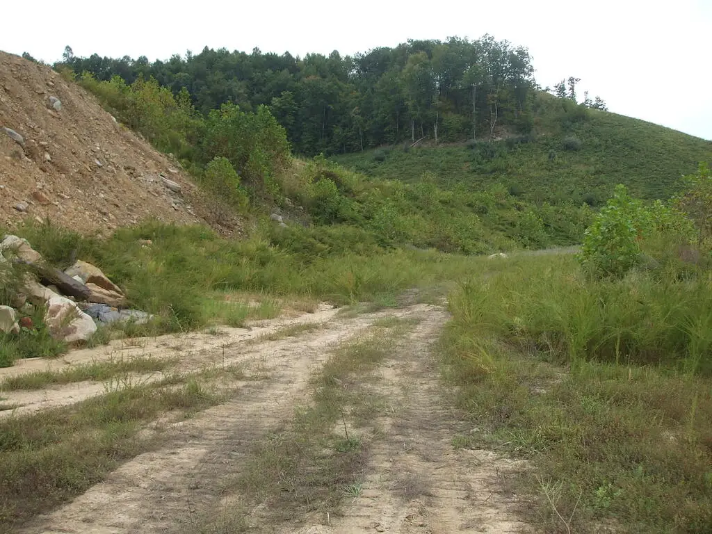 0 Trace Fork (db 229, Dp 267), Royalton, KY 41632 - #1