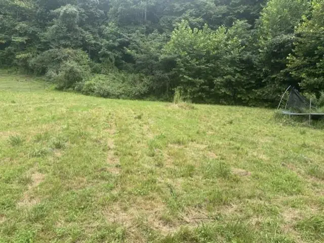 52 Johnson Loop, Pikeville, KY 41501 - #1