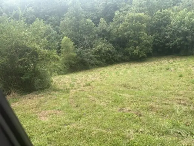 52 Johnson Loop, Pikeville, KY 41501 - #2
