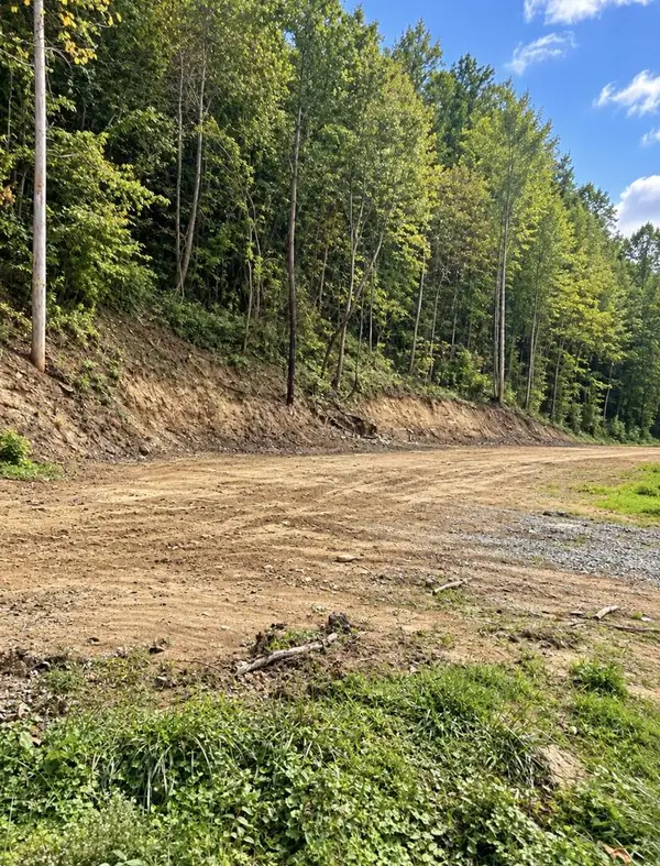 16860 Bent Mountain Rd, Sidney, KY 41564