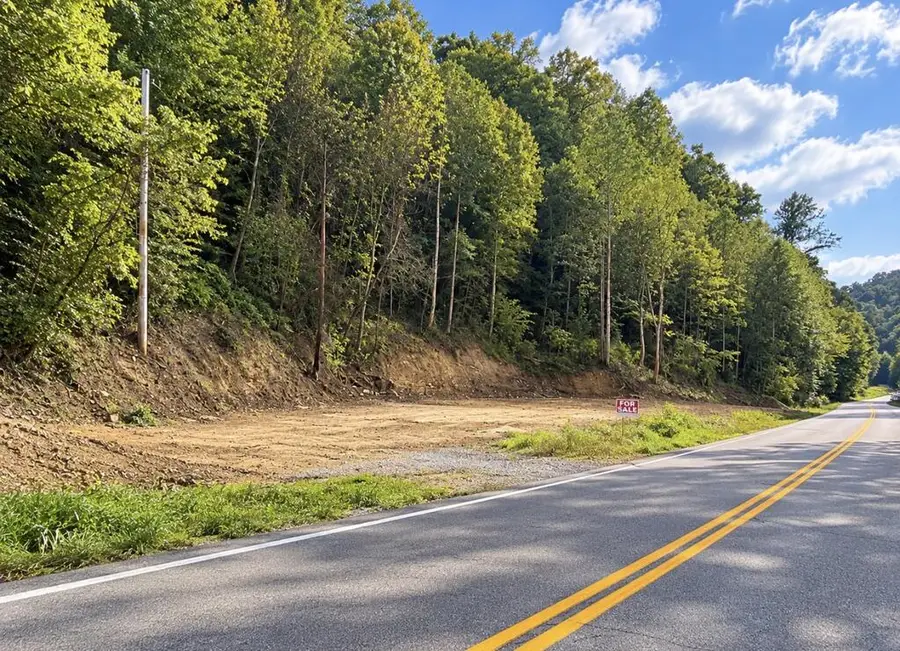 16860 Bent Mountain Rd, Sidney, KY 41564 - #3