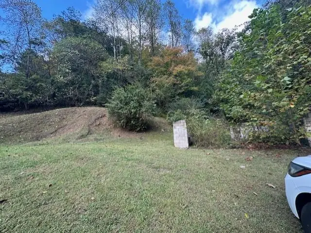167 Ratliffs Cr, Pikeville, KY 41501 - #1