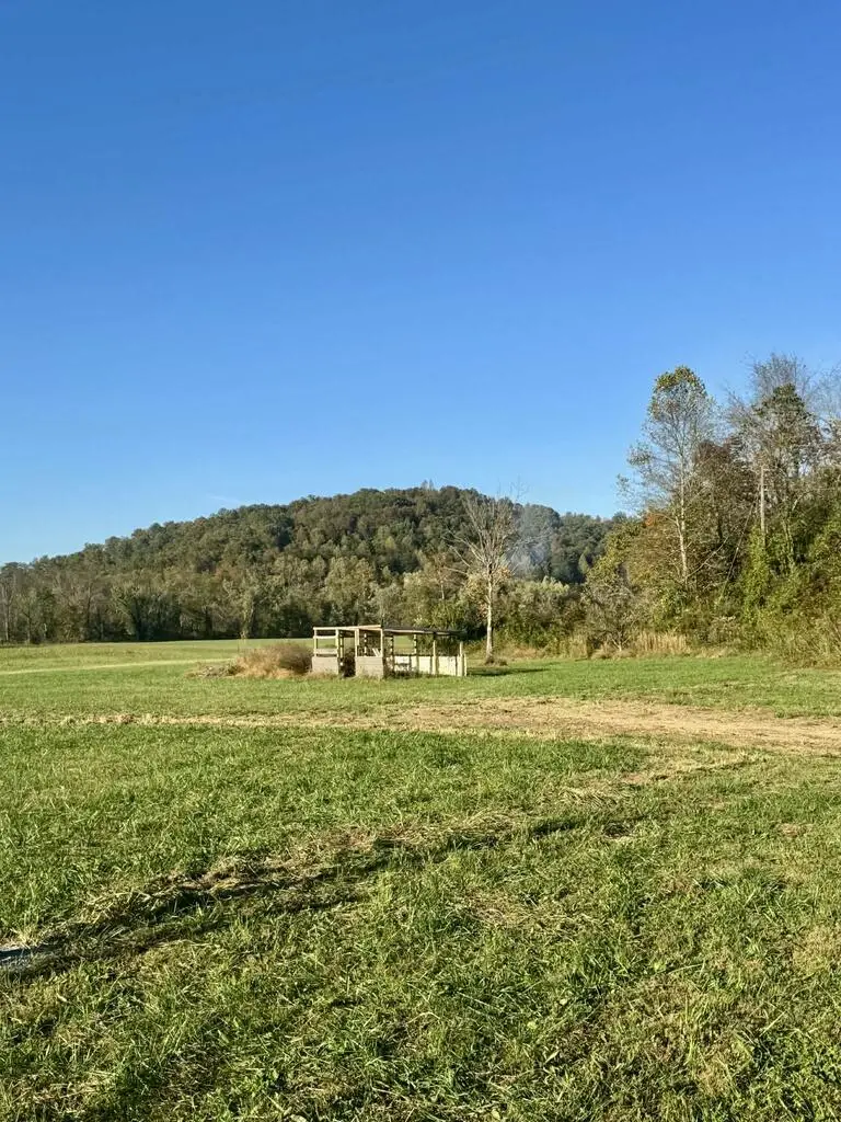 3783 River Road, Salyersville, KY 41465 - #2