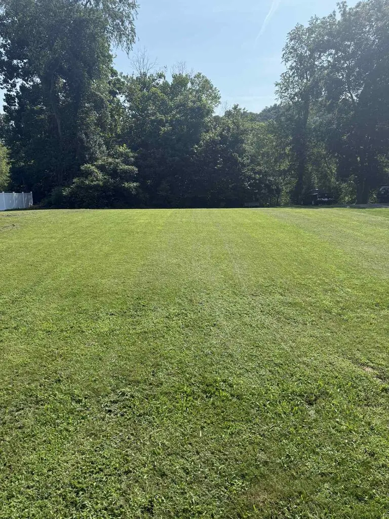 Lot 14 Levisa Drive, Louisa, KY 41230 - #2