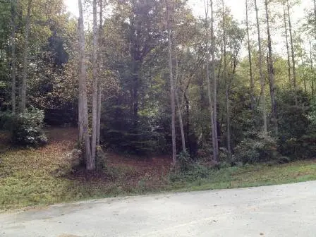 65 Deerfoot Valley, London, KY 40741 - #3