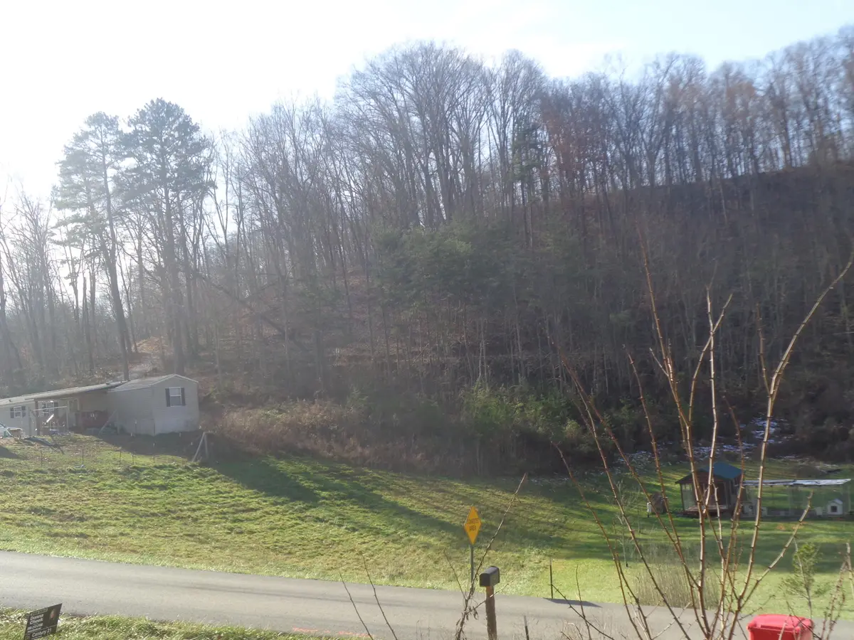 31 Freeman Branch Road, East Bernstadt, KY 40729 - #1