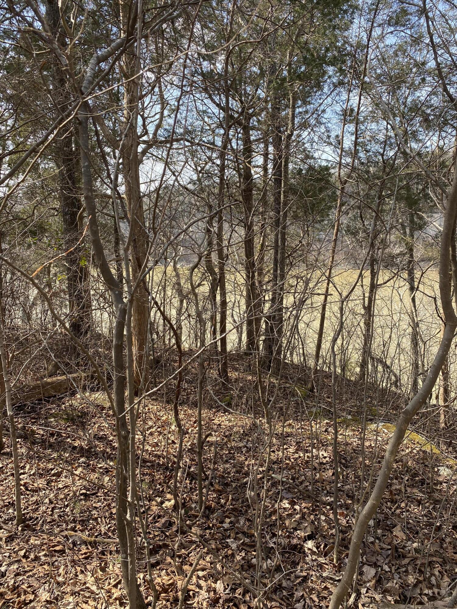 Lot 1 North Fork Road, Burnside, KY 42519 BHGRE