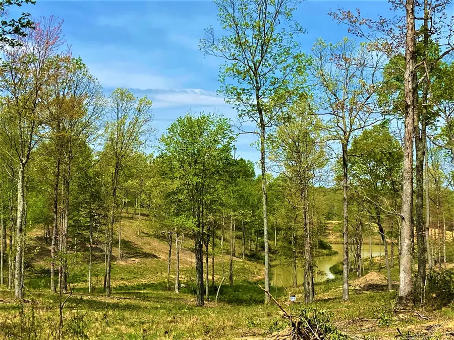 P-3 lot 57 Twins Pond Road, Corbin, KY 40701 - #2